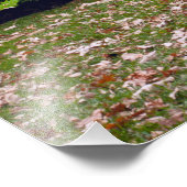 Impression Photo Cantigny Park (Coin)