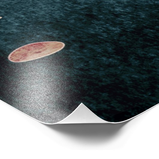 Impression Photo Canyon Birds (Coin)