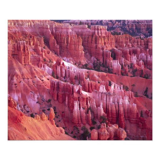 Impression Photo Canyon Bryce, Utah, États-Unis (Devant)