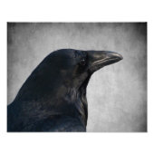 Impression Photo Capture du glamour du corbeau (Devant)