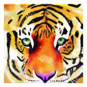 Impression Photo Capturer la Majesté : le regard d'un tigre (Devant)