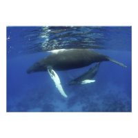 Caraïbes, archipel des Grandes Antilles,