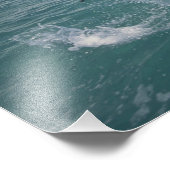 Impression Photo Caraïbes, Bottlenose (Coin)