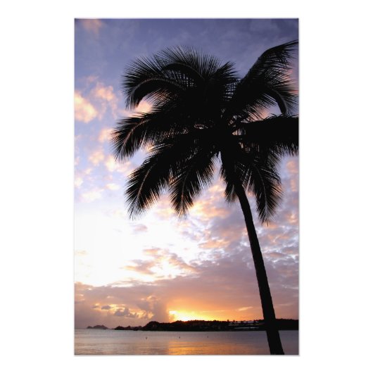 Impression Photo Caraïbes, Îles Vierges américaines, St.Thomas, 6 (Devant)