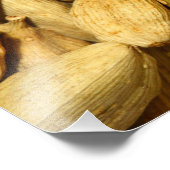 Impression Photo Cardamom pods (Coin)