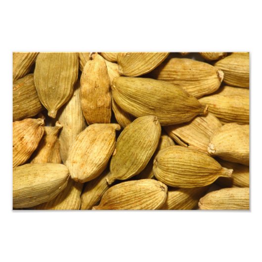 Impression Photo Cardamom pods (Devant)
