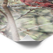 Impression Photo Cardinal (Coin)