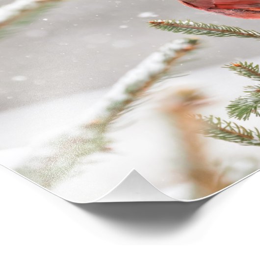 Impression Photo Cardinal d'hiver (Coin)