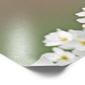 Impression Photo Cardinal du Nord (Coin)