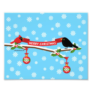 Impression Photo Cardinal Et Cardinal En Branche - MERRY XMAS