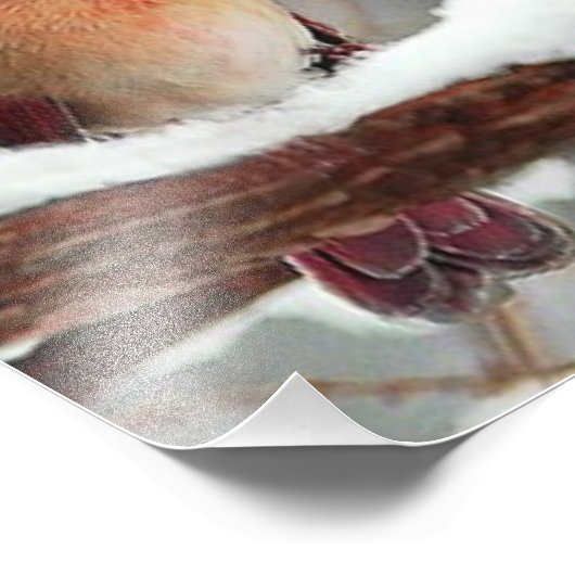 Impression Photo cardinaux hommes et femmes (Coin)