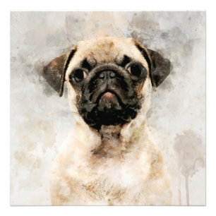 Impression Photo Carlin Chien Aquarelle Portrait 01