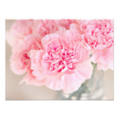 Impression Photo Carnations roses (Devant)