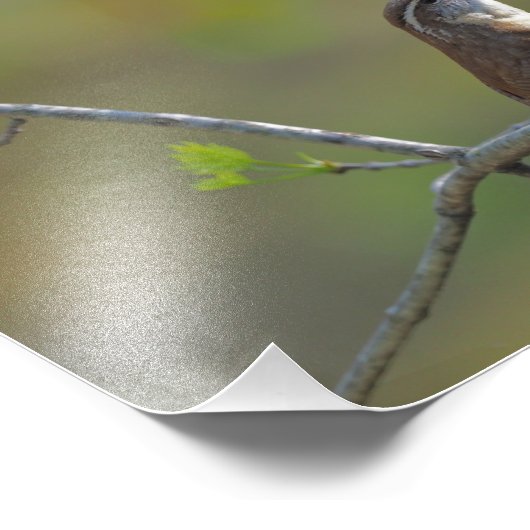 Impression Photo Carolina (Coin)