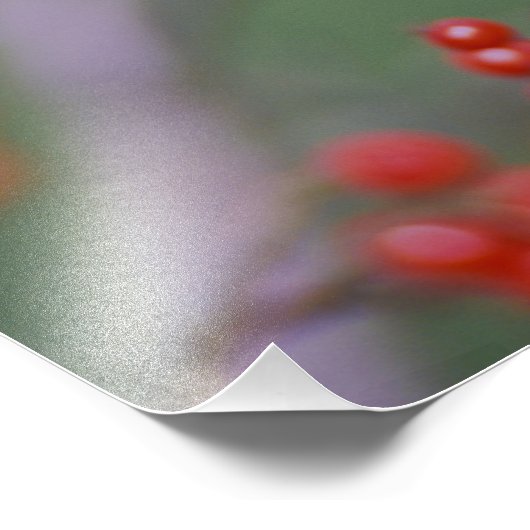 Impression Photo Carolina Chickadee (Coin)