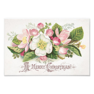 Impression Photo Carte de Noël Rétro Vintage, Fleurs de Pommier