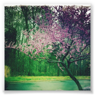 Impression Photo carte de voeux