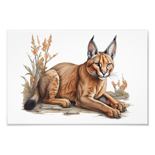 Impression Photo Carte postale (Devant)