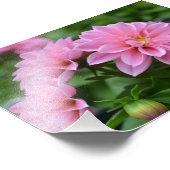 Impression Photo Carte postale pour elle (Coin)