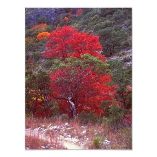 Impression Photo cas (Devant)