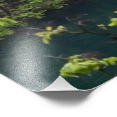 Impression Photo Cascade cascade avec forêt verte en Croatie (Coin)