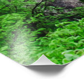 Impression Photo Cascade des lacs Plitvice (Coin)