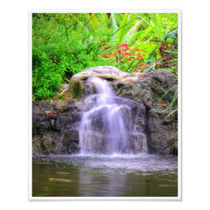 Impression Photo Cascade du jardin caché