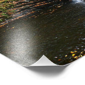 Impression Photo Cascade du parc d'état Laurel Hill State Park II (Coin)