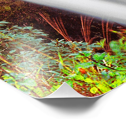 Impression Photo Cascade hawaïenne (Coin)