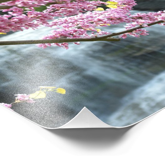 Impression Photo Cascade She-qua-ga 10"x8" (Coin)