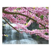 Impression Photo Cascade She-qua-ga 20"x16" (Devant)