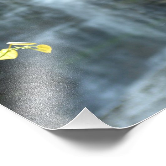 Impression Photo Cascade She-qua-ga 20"x16" (Coin)