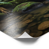 Impression Photo Cascade tropicale luxuriante (Coin)