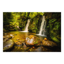 Cascades de Coolalingo : La Gemme cachée de la nat