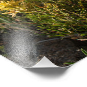 Impression Photo Casper Mountain Yellow Paintbrush - Casper WY (Coin)