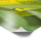 Impression Photo Castilleja (Coin)