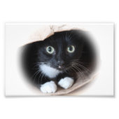 Impression Photo Cat (Devant)