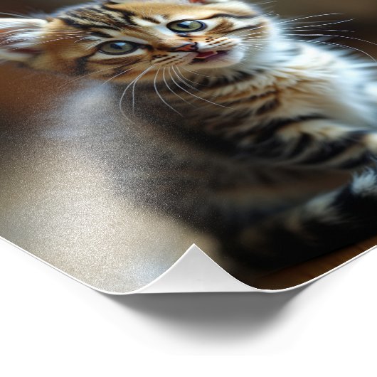 Impression Photo Cat (Coin)