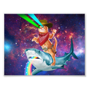 Impression Photo Cat Cowboy chevauchant un requin crachant un arc-e
