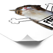 Impression Photo Cat holding Free Hugs Sign (Coin)