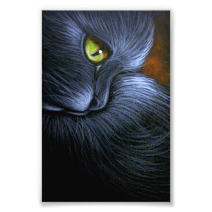 IMPRESSION PHOTO CAT NOIR D'IMAGINAIRE DE HALLOWEEN 4" X 6" COPIE