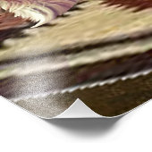 IMPRESSION PHOTO CATFIGHT (Coin)