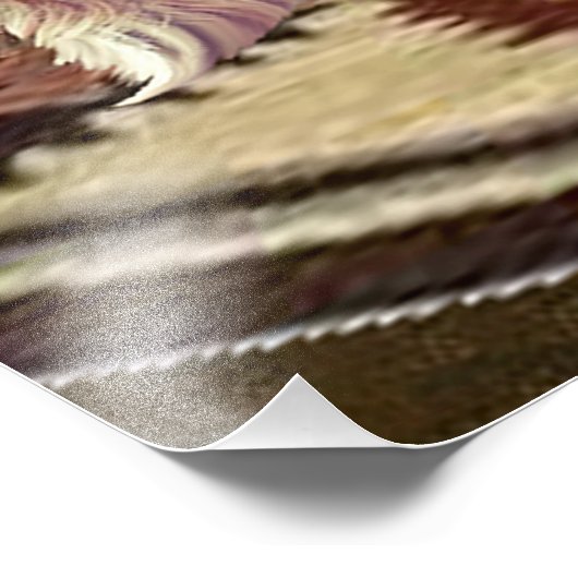 IMPRESSION PHOTO CATFIGHT (Coin)