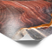 Impression Photo Cave in Petra, Jordan (Coin)