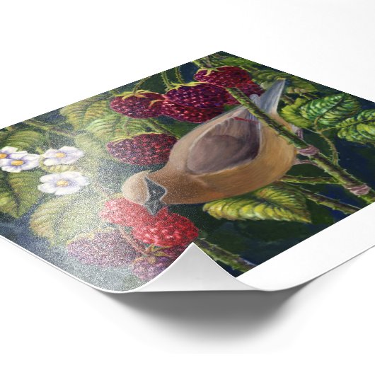 Impression Photo Cèdre ciré en framboises (Coin)