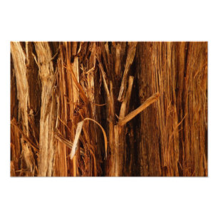 Impression Photo Cèdre texturé en écorce de bois