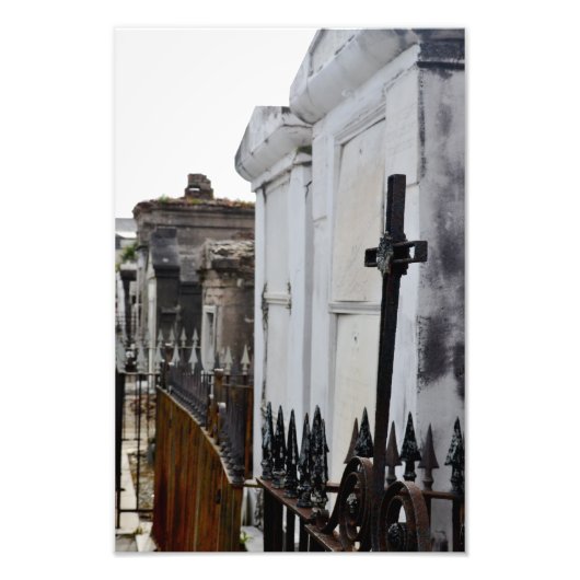 Impression Photo Célébrer la vie (Devant)