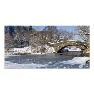 Impression Photo Central Park de pont et de glace de neige