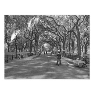 Impression Photo Central Park littéraire de promenade, New York