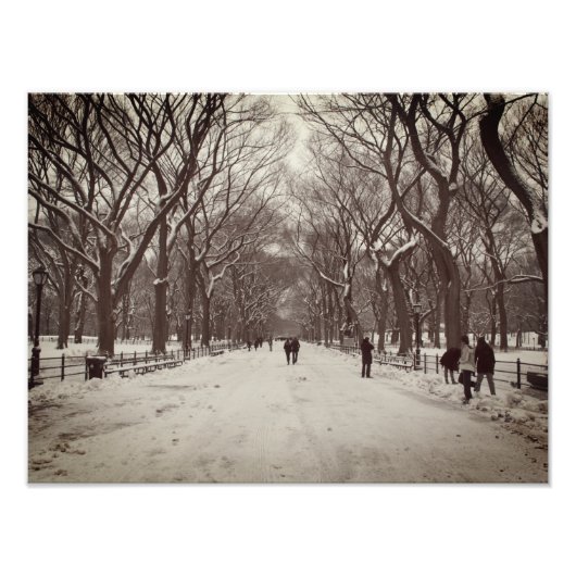 Impression Photo Central Park Mall (Devant)